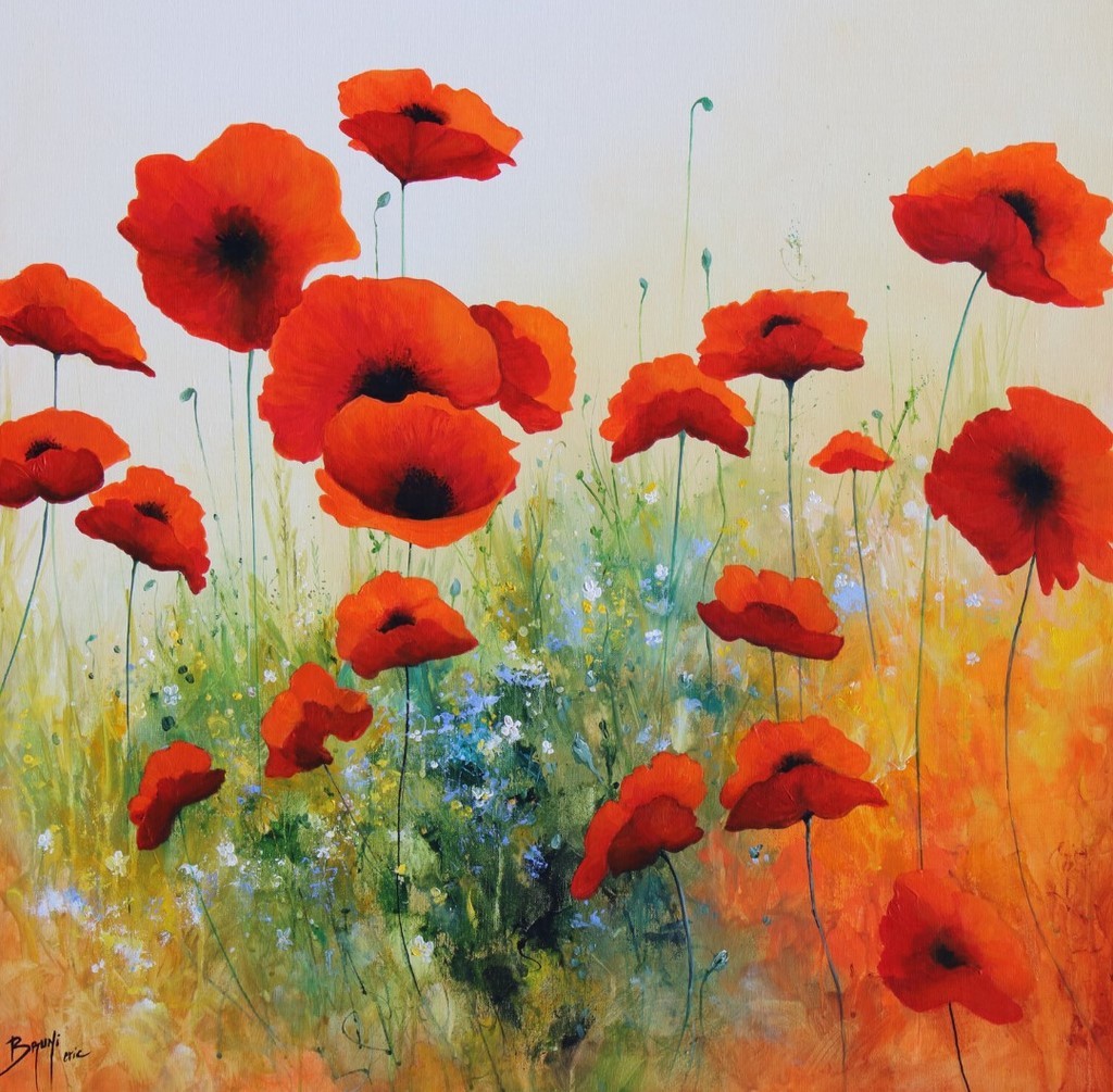 Attractive poppies - Eric Bruni