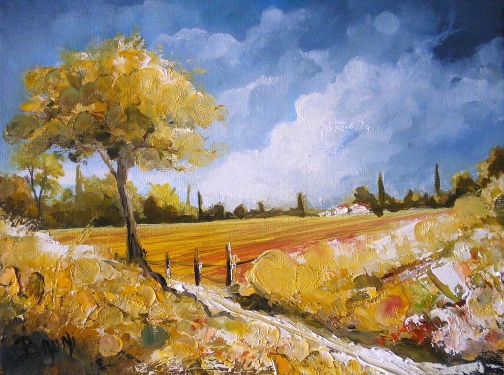 Paysage de campagne - Copyright Bruni Eric