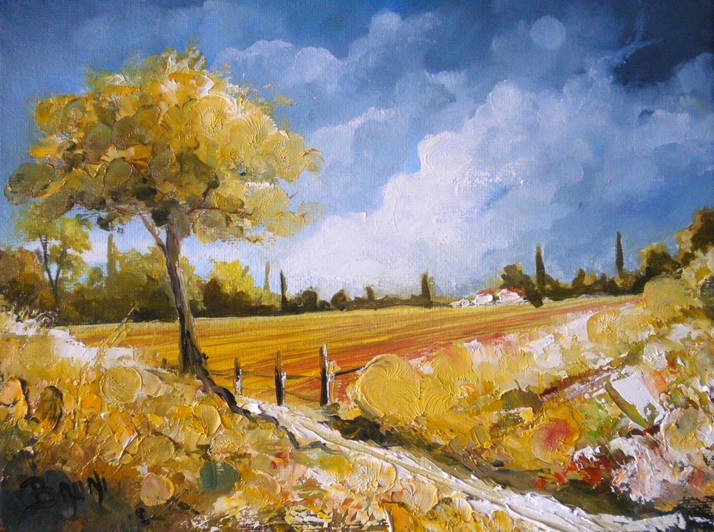 Paysage de campagne - Copyright Bruni Eric