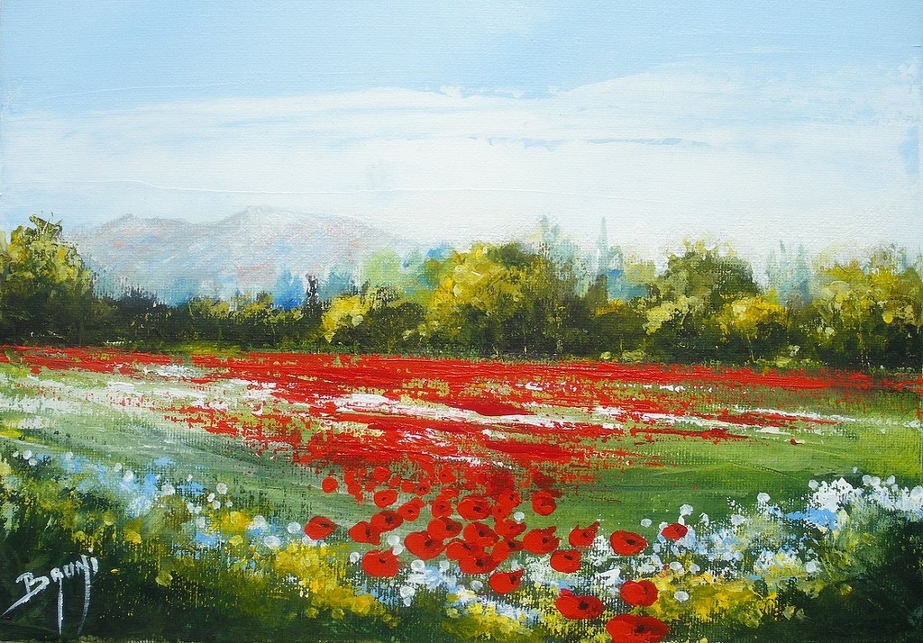 Champ de coquelicots 2 - Copyright Bruni Eric