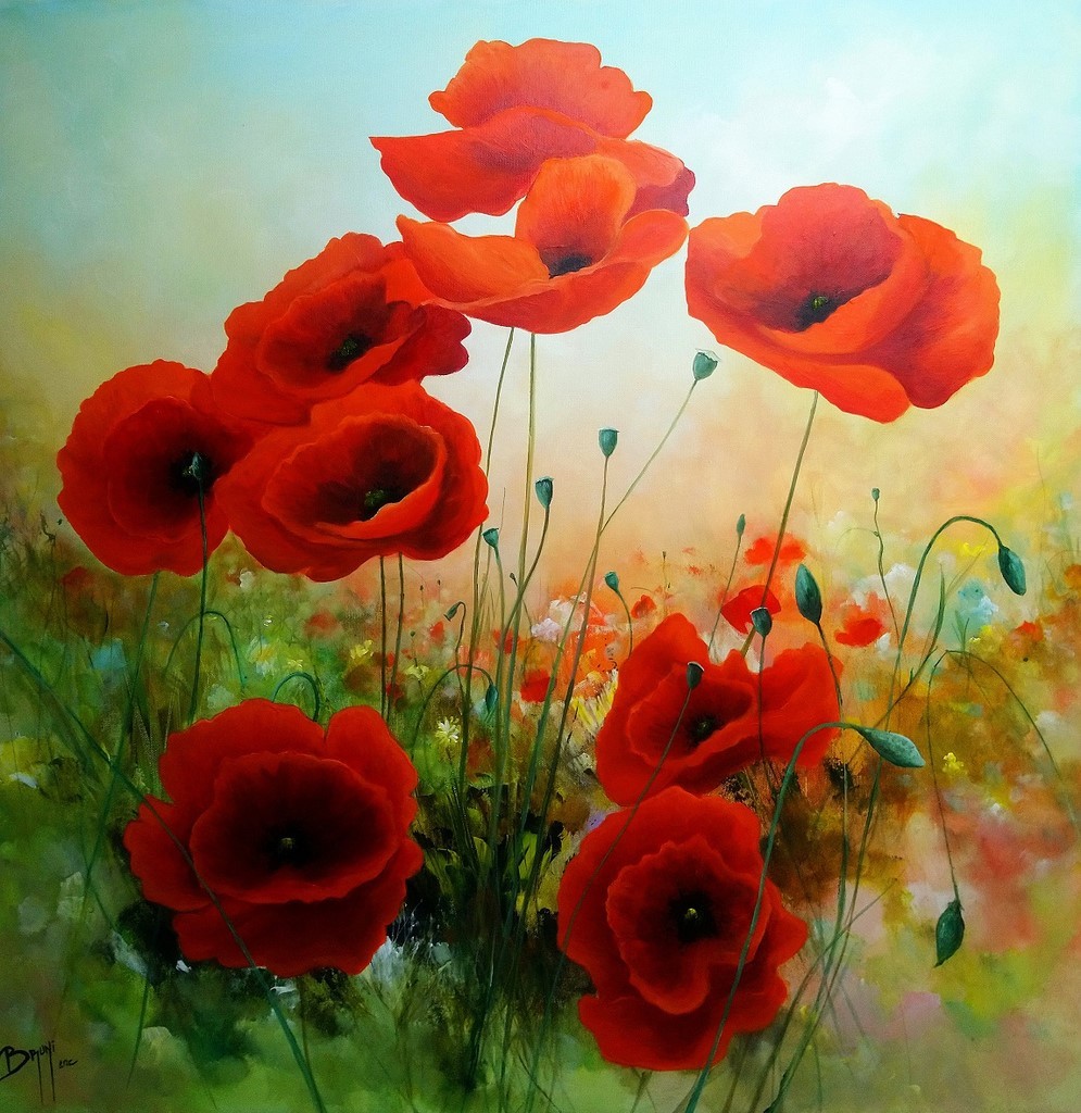 Au Cœur des Coquelicots -©Bruni Eric.