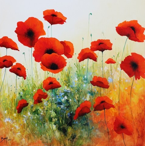 Poster : Coquelicots séduisants