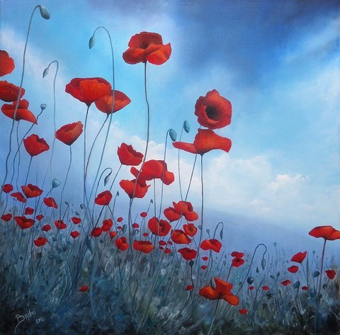 Poppies - Copyright Bruni Eric