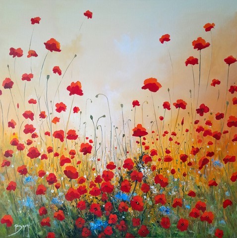 Les coquelicots de l'aube -©Bruni Eric.